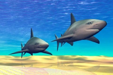 Sharks Stock Illustration