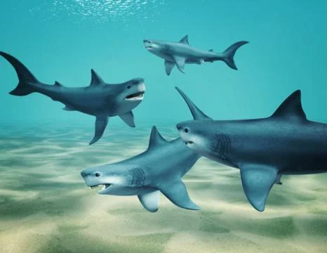 Sharks Stock Illustration