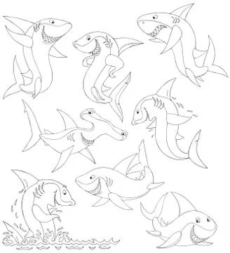 Sharks Stock Illustration