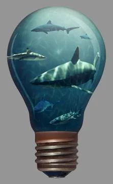 Sharks in a light bulb Stock Illustration