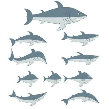 Sharks set of different shapes and types. Cartoon characters. Stock Illustration