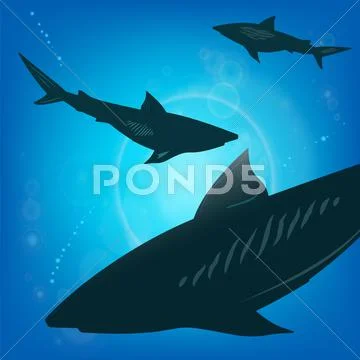 Sharks under water Stock Illustration