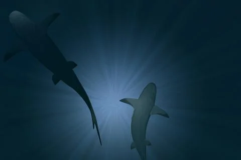 Sharks underwater 3d render Stock Illustration