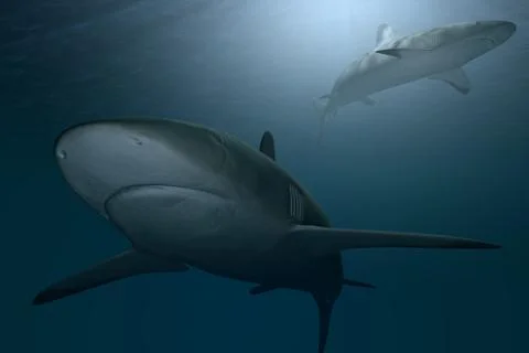 Sharks underwater 3d render Stock Illustration