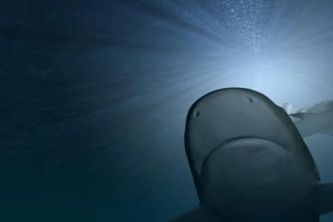 Sharks underwater 3d render Stock Illustration