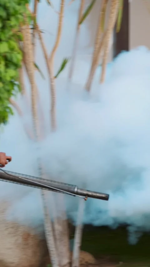 SHARM EL SHEIKH, EGYPT - APRIL 5, 2018 : Hotel Jaz Belvedere. Man work fogging Stock Footage 313731155