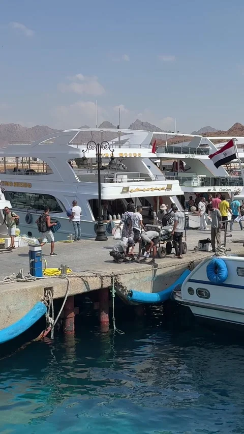 Sharm el sheikh, Egypt -MARCH 10, 2026: Tourists boarding luxury yachts in sharm Vídeos de archivo 331339867