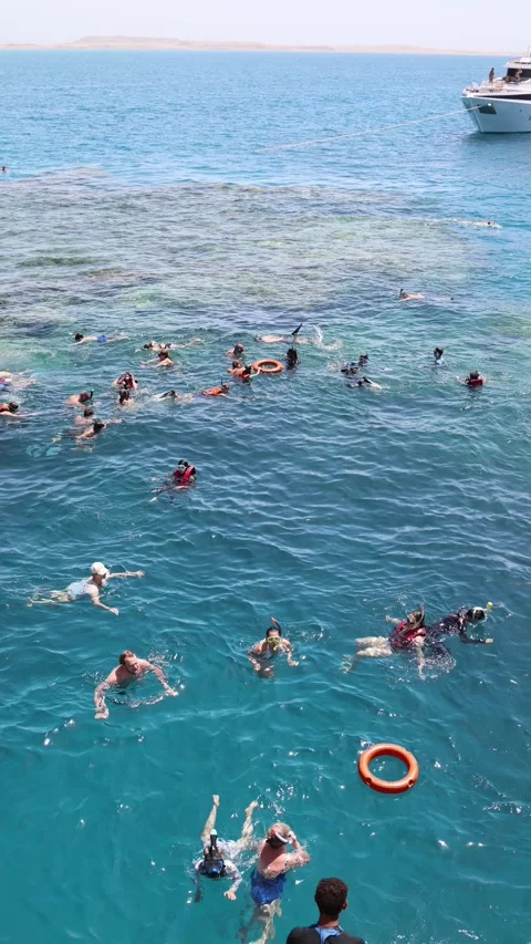 Sharm El Sheikh Egypt — May 6 2025 — Tourists snorkeling in clear Red Sea water  Stock Footage 311846072