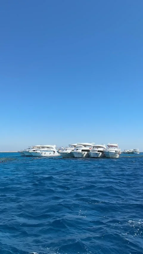 Sharm El Sheikh, Egypt - October 12, 2025: Vertical shot of excursion yachts Video stock 328898134