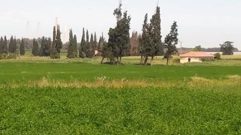 Sharon Park Stock Photos