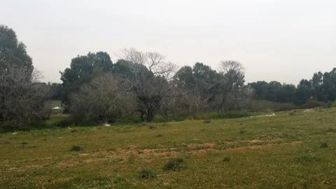 Sharon Park Stock Photos