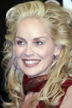  Sharon Stone at the premiere of Basic Instinct 2:Risk Addiction held at T... Stock Photos