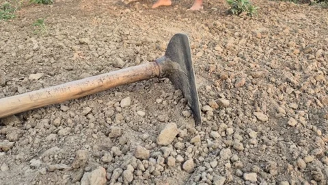 Sharp Agriculture Hoe Tool On Loose Soil In Bangladesh Stock-Footage 338387778