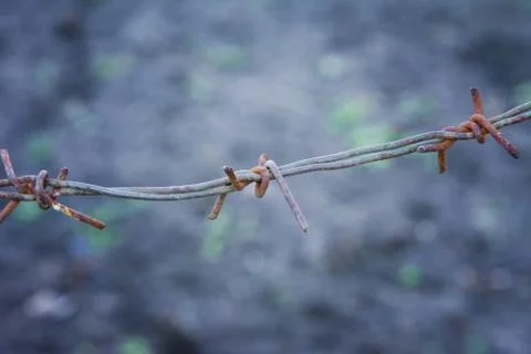 Sharp Ancient Rusty Barbed Wire. Abstract background 스톡 사진
