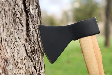 Sharp axe near tree in forest, closeup Stock Photos