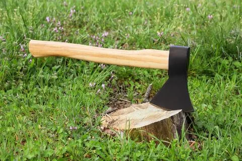 Sharp axe on tree stump in forest Stock Photos