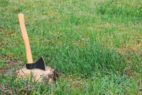 Sharp axe on tree stump in forest Stock Photos