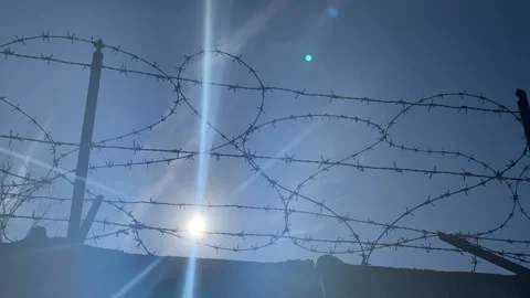 Sharp barbed wire against blue sky and sunlight background, control fence along Stock Footage 266502924