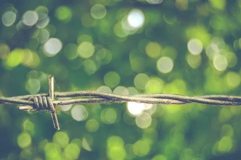 Sharp Barbed Wire Against Green Bokeh Background Stock-Fotos