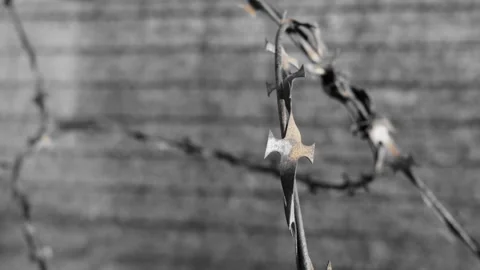 A sharp barbed wire that causes a cut wound and pain. Stock Footage 288003905