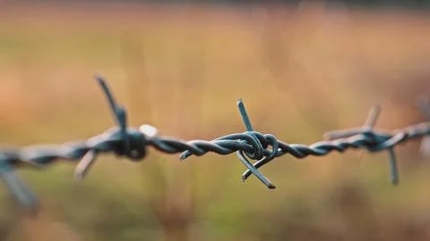 Sharp Barbed Wire Fence Around Cattle Pasture in Rural Agricultural Area Stock Photos