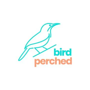 Sharp beak bird exotic perched twig line art minimal modern logo design vecto Illustrazione stock