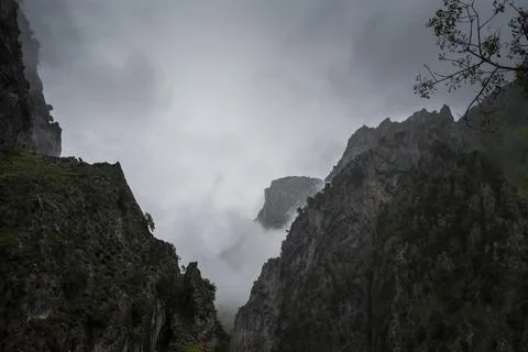 Sharp cliffs of limestone and deep gorges 写真素材