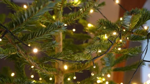 Sharp close-up of fir branches wrapped with warm micro LED fairy lights, dark Stock Footage 325843310