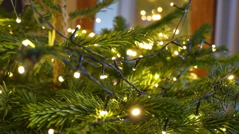 Sharp closeup of fir branches wrapped with warm LED string lights and black Stock Footage 325842648