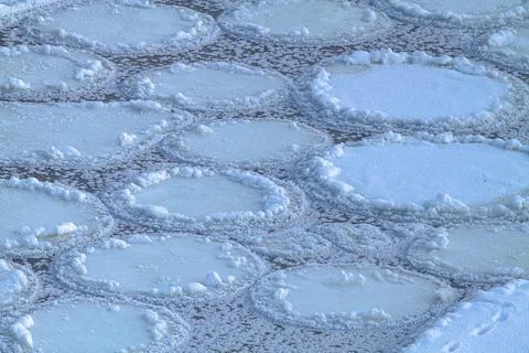 A sharp cold snap froze round ice floes on the river Stock Photos