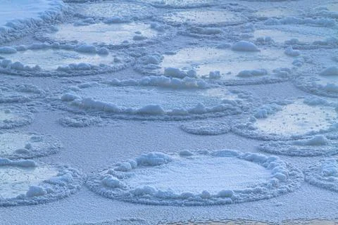 A sharp cold snap froze round ice floes on the water surface Stock Photos