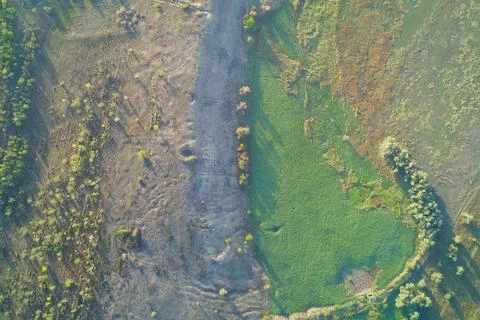 Sharp contrast between dry eroded earth and green wetland vegetation separated Stock Photos