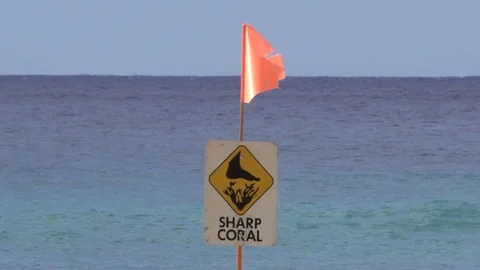 Sharp Coral Beach sign and Boat Stock Footage 81223420