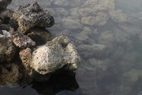 Sharp Coral Rock Formation in Clear Coastal Water 库存照片