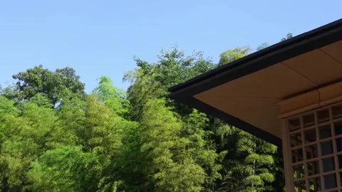 Sharp corner of a building composed next to tall green and vibrant trees during Stock Footage 340185197