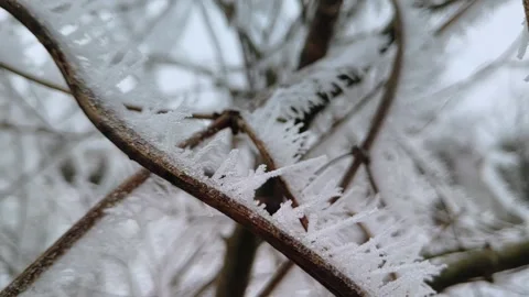 Sharp crystalline ice spikes covering brown tree twig in winter, macro, panning 스톡 동영상 347279130