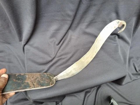 Sharp, curved sickle with sturdy handle, ideal for harvesting crops Foto stock