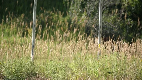 Sharp curves sign Vídeos de archivo 83468021