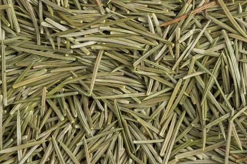 Sharp dry spruce tree needles for fertilizing plants 写真素材