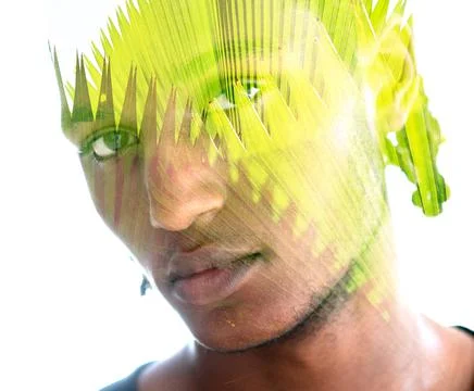 Sharp edges of a palm leaf and a portrait of a man Stock Photos