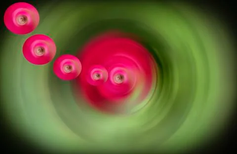 Sharp Eye Stock Photos