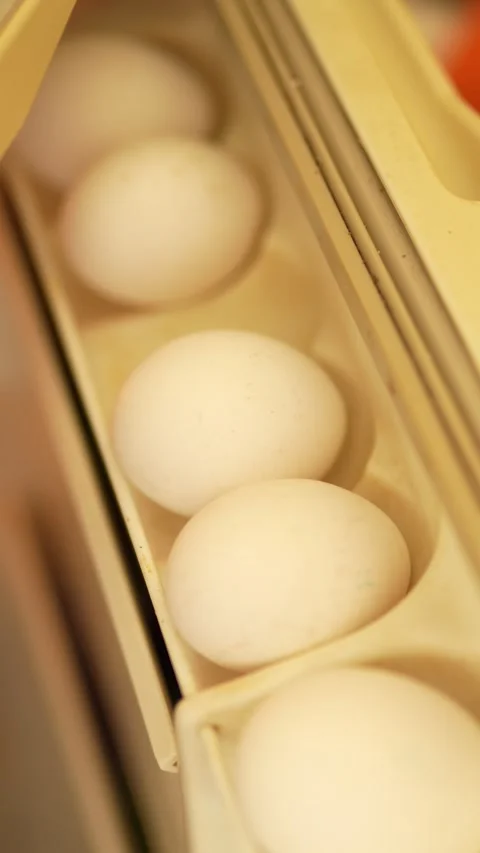 Sharp focus on the foreground egg revealing natural shell texture Stock Footage 329616230