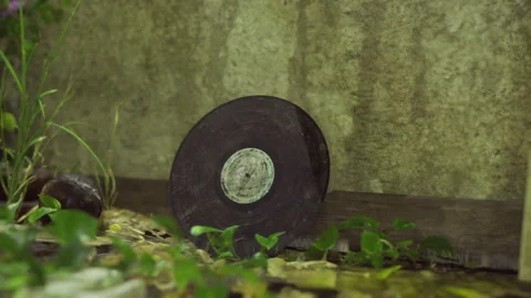 Sharp focus on rough edged vinyl record with natural debris and moss Stock Footage 342430914