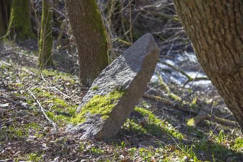 Sharp granite stone in the forest. Stock Photos
