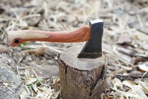 Sharp hatchet with wooden handle embedded in a chopping block outdoors. Traditio Stock Photos