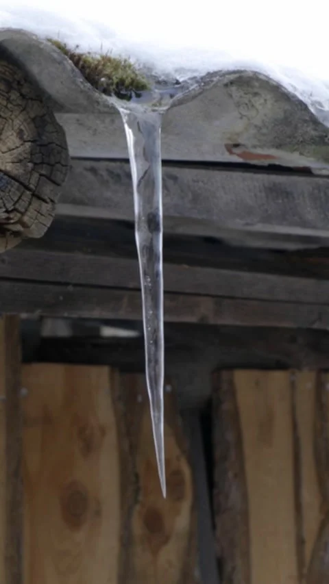 Sharp icicles hanging from a snow-covered corrugated roof. 2k vertical video. Stock Footage 325883642