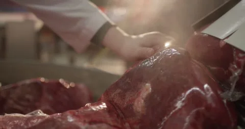 Sharp knife slicing a fresh beef tenderloin in a butchery workshop, Slow Motion Stock Footage 340024096