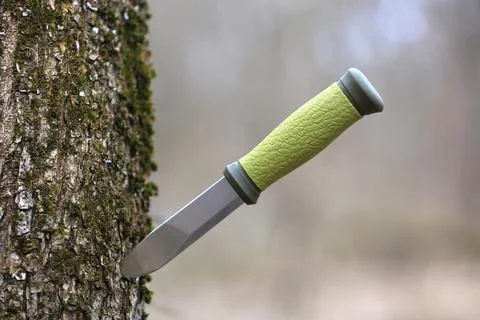 Sharp knife with textured green handle stuck into a mossy tree trunk Stock Photos