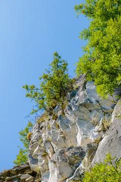 Sharp limestone cliff with trees growing at the edge under a bright blue sky Stock Photos