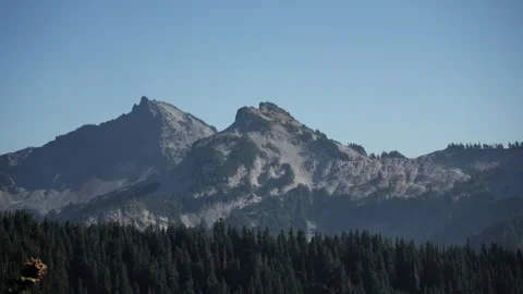 Sharp Mountain Peaks above Forest under Clear Blue Sky Stock Footage 319058572